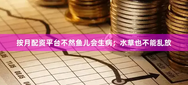 按月配资平台不然鱼儿会生病；水草也不能乱放