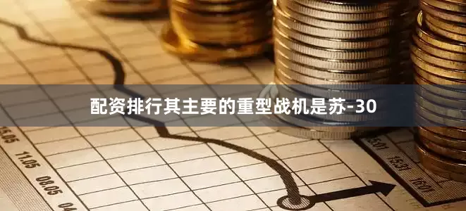 配资排行其主要的重型战机是苏-30