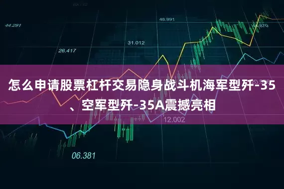 怎么申请股票杠杆交易隐身战斗机海军型歼-35、空军型歼-35A震撼亮相